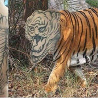 so talented video.html - 1 HD Video | Premium Gallery 2024