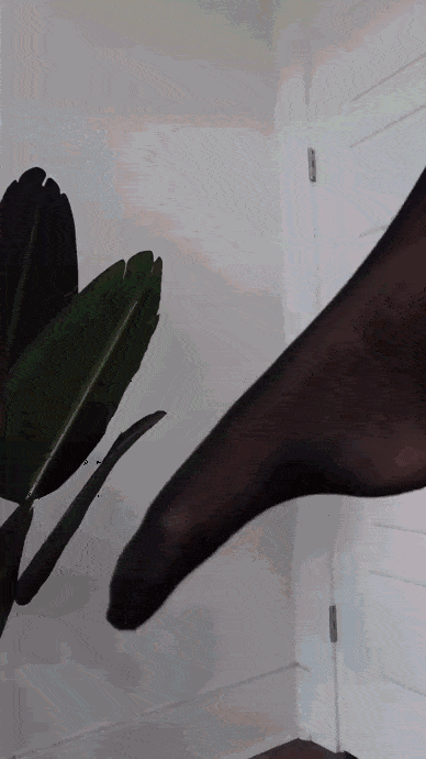 hot girls are here for you 42 gifs 2.html - 1 HD GIF | Premium Gallery 2023