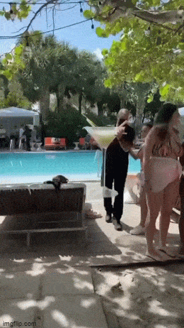 drinking never ends 37 pics 2 gifs 9.html - 37 HD GIF | Premium Gallery 2023