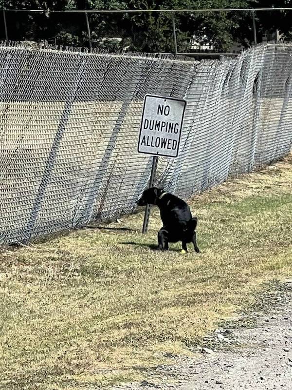 ooh thats dirty 71 pics 2 gifs 31.html - 71 HD GIF | Premium Gallery 2023