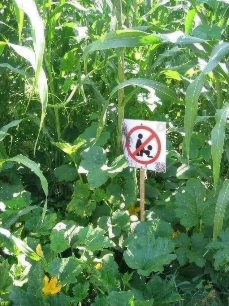 dirty mind come here 37 pics 16.html - 37 HD Photos | Premium Gallery 2023