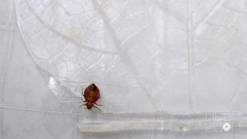 Fascinating Sex Facts From Every Corner