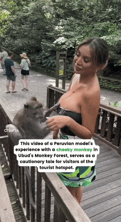 dirty minds only 31 gifs 5.html - 1 HD GIF | Premium Gallery 2023