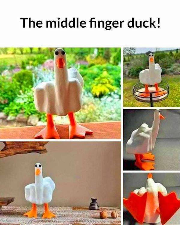 dirty minds only 50 pics 5.html - 50 HD Photos | Premium Gallery 2023