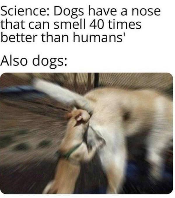 dirty minds only 50 pics 5.html - 50 HD Photos | Premium Gallery 2023