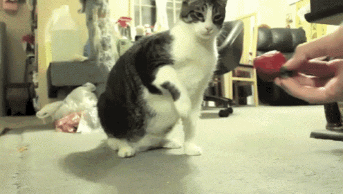 Bedroom Chronicles: Epic Moments Of Success And Mishaps