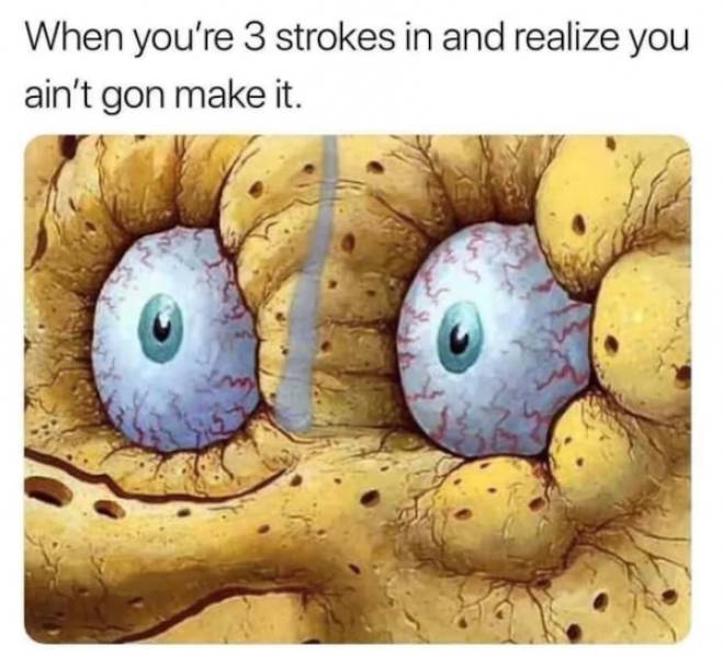 Meme Heatwave: Exploring The Internet