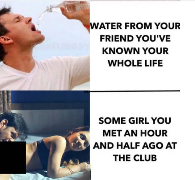 Meme Heatwave: Exploring The Internet