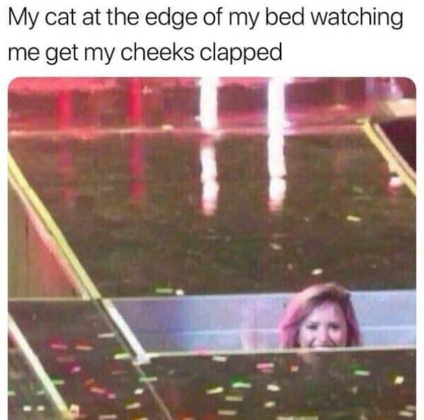 Meme Heatwave: Exploring The Internet