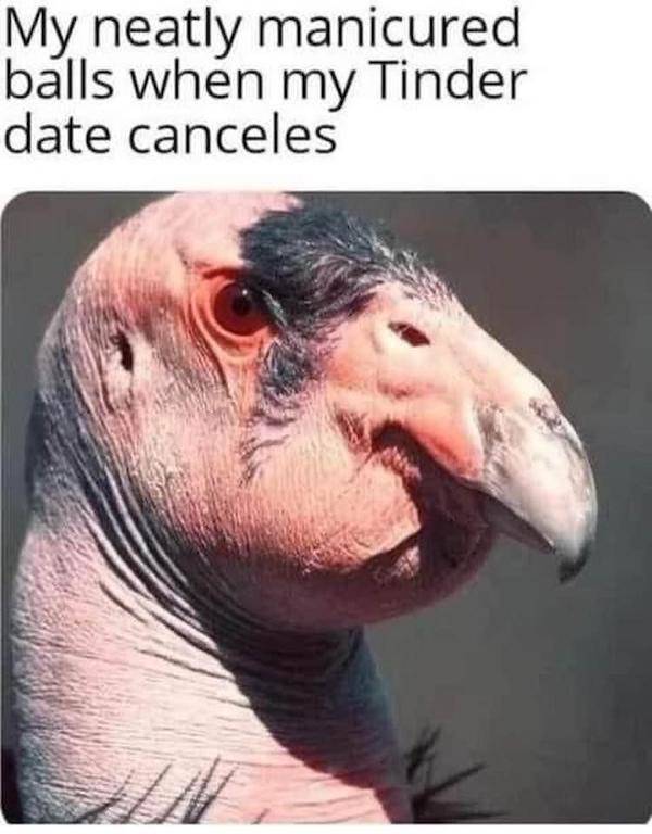 Meme Heatwave: Exploring The Internet