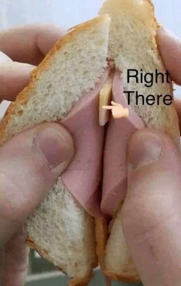 Meme Heatwave: Exploring The Internet