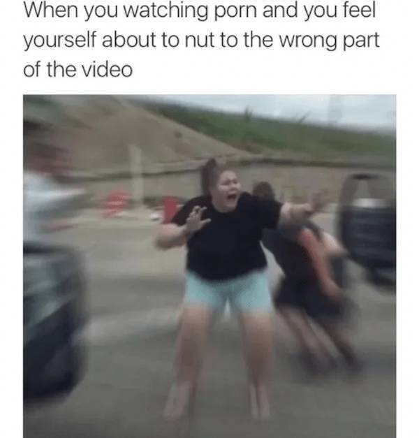 Meme Heatwave: Exploring The Internet