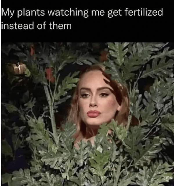 Meme Heatwave: Exploring The Internet