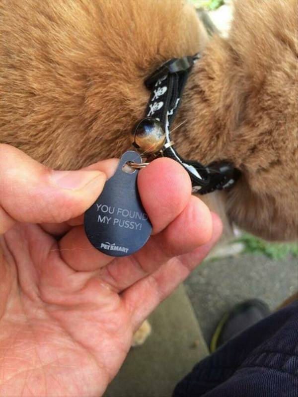 ooh thats dirty 51 pics 24.html - 51 HD Photos | Premium Gallery 2023