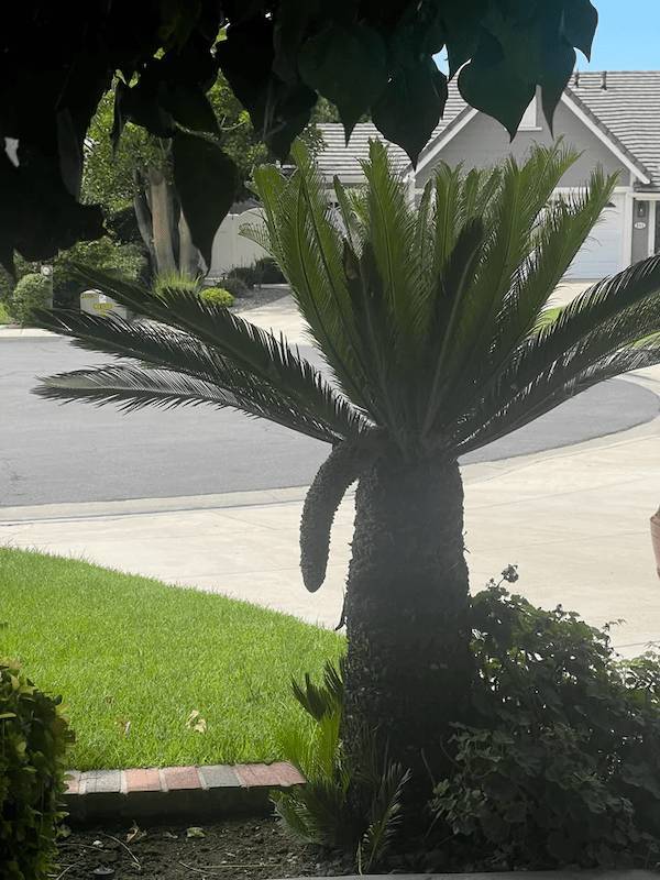 ooh thats dirty 51 pics 24.html - 51 HD Photos | Premium Gallery 2023