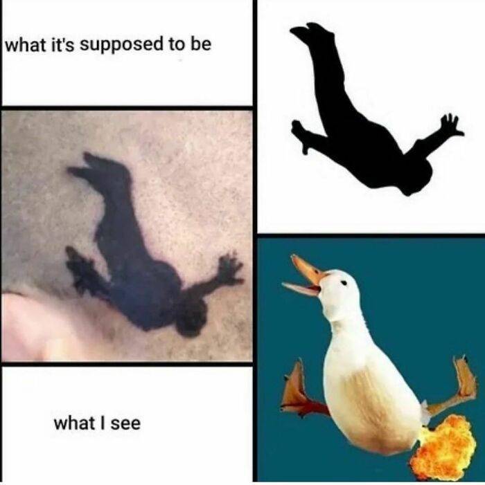 unconventional ink tattoos that defy convention 47 pics 3.html - 47 HD Photos | Premium Gallery 2023