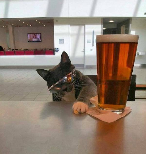 Drinking Never Ends...