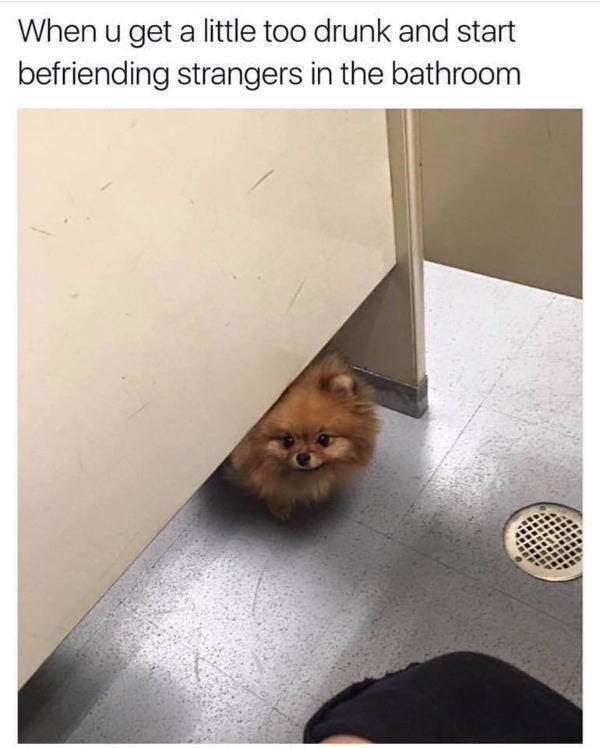 drinking never ends 53 pics 21.html - 53 HD Photos | Premium Gallery 2023