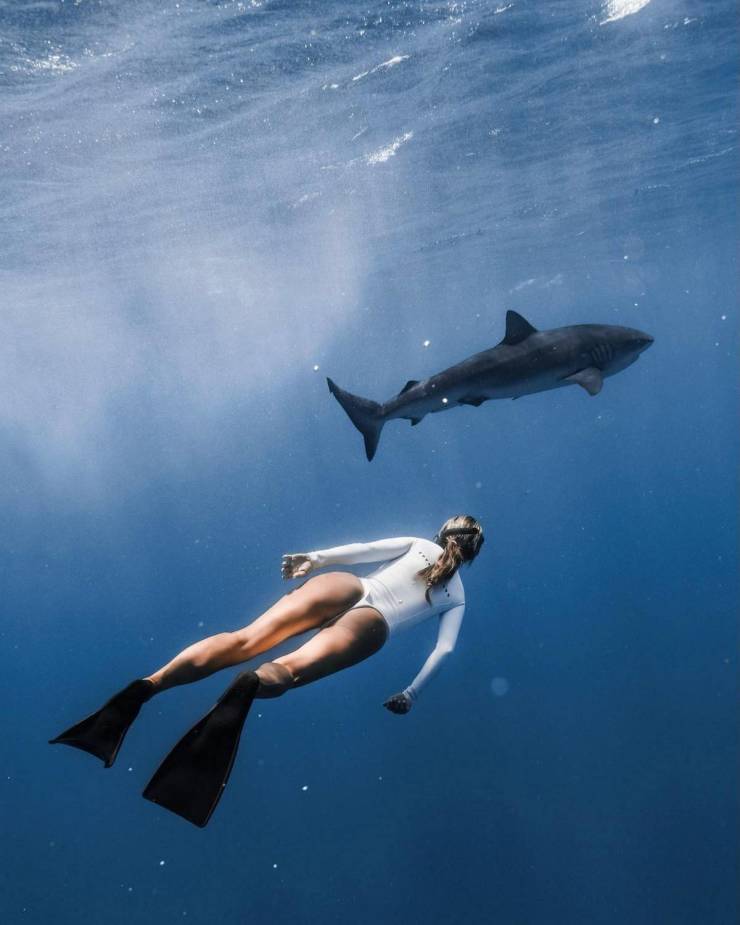 grownup corner 50 pics 3.html - 50 HD Photos | Premium Gallery 2023