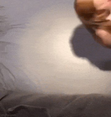 hot girls are here for you 30 gifs 9.html - 1 HD GIF | Premium Gallery 2023