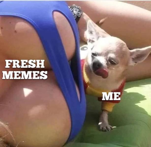 dirty minds only 54 pics 9.html - 54 HD Photos | Premium Gallery 2023