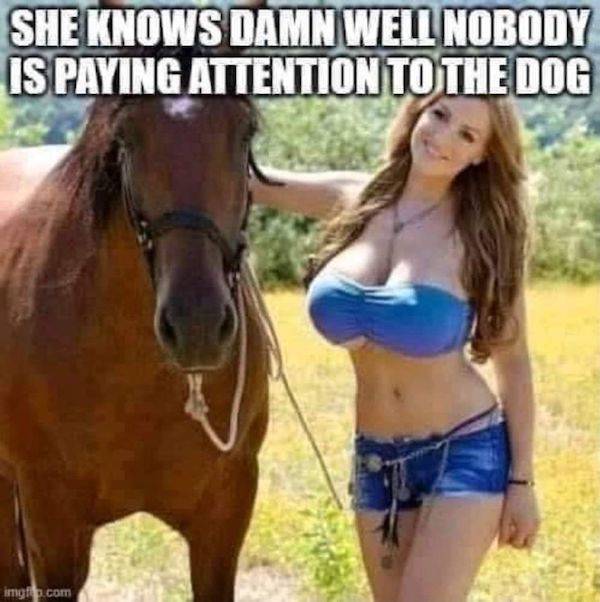 dirty minds only 54 pics 9.html - 54 HD Photos | Premium Gallery 2023