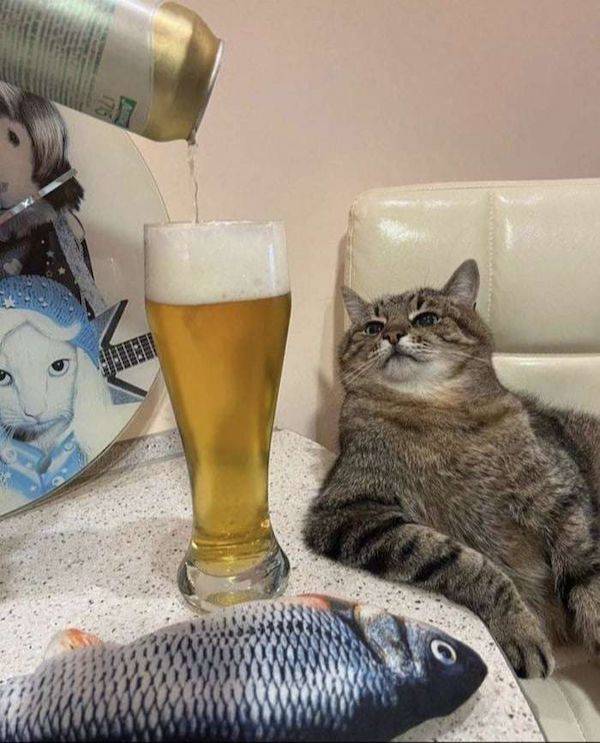 cheers to everyone 42 pics 3 gifs 22.html - 42 HD GIF | Premium Gallery 2023