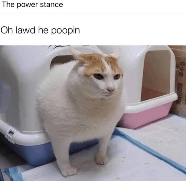 dirty minds only 65 pics 3 gifs 2.html - 65 HD GIF | Premium Gallery 2023