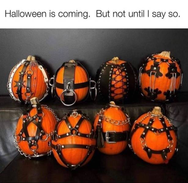 dirty minds only 65 pics 3 gifs 2.html - 65 HD GIF | Premium Gallery 2023