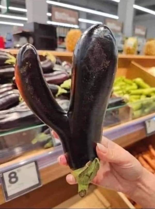 dirty minds only 65 pics 3 gifs 2.html - 65 HD GIF | Premium Gallery 2023