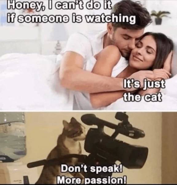 NSFW Memes To Add Some Spice To Your Life