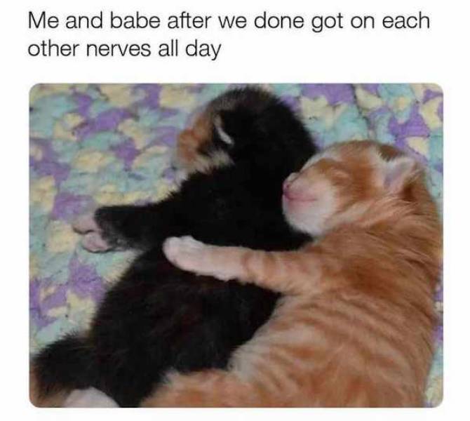 dirty flirtatious to share with your better half 33 pics 13.html - 33 HD Photos | Premium Gallery 2023