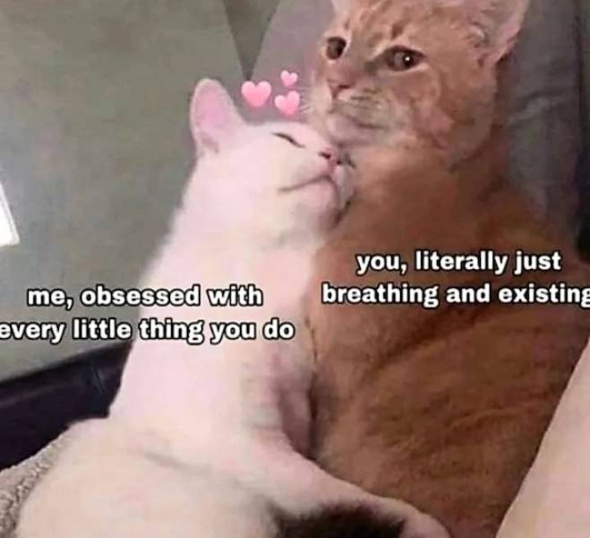 dirty flirtatious to share with your better half 33 pics 13.html - 33 HD Photos | Premium Gallery 2023