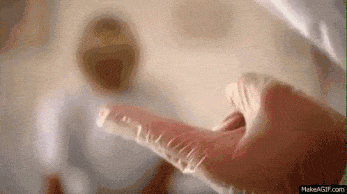 sex therapists insights common issues solutions and etiquette 20 gifs 2.html - 1 HD GIF | Premium Gallery 2023