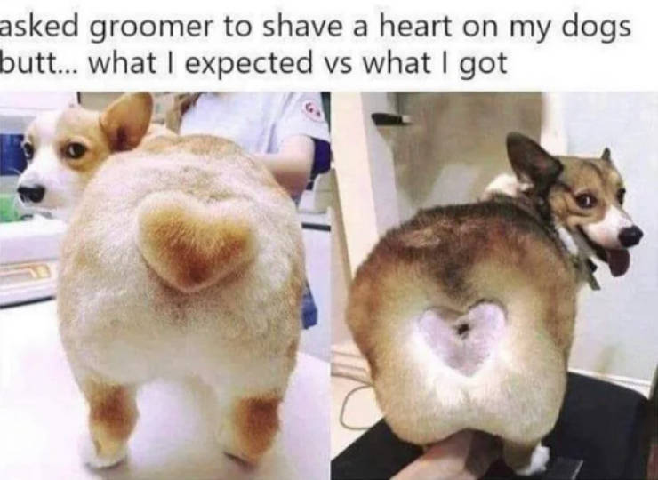 hold on a second 46 pics 16.html - 46 HD Photos | Premium Gallery 2023