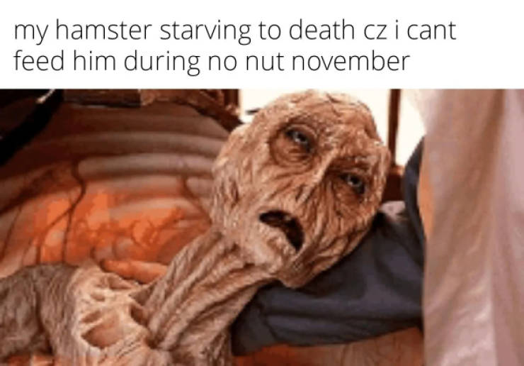 hold on a second 46 pics 16.html - 46 HD Photos | Premium Gallery 2023