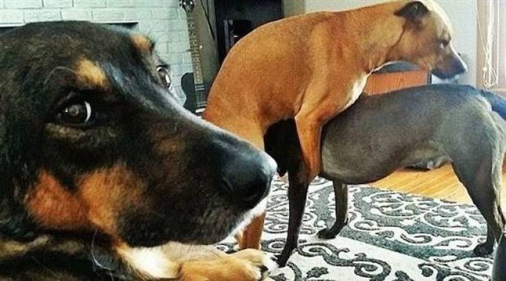 Dirty Mind, Come Here!