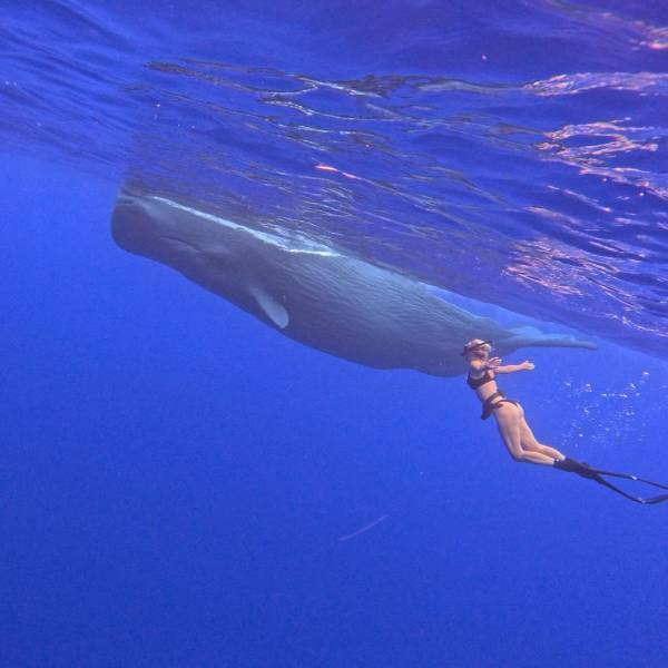 grownup corner 43 pics 7.html - 43 HD Photos | Premium Gallery 2023