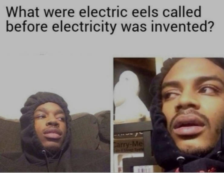 hold on a damn minute 47 pics 2.html - 47 HD Photos | Premium Gallery 2023