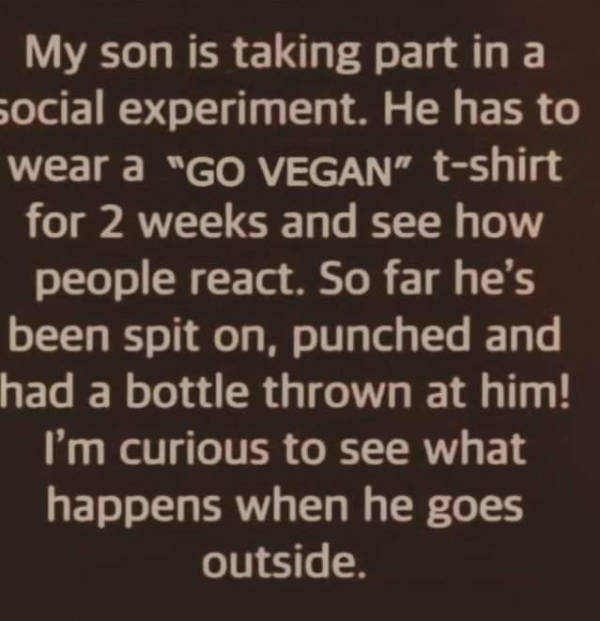 hold on a damn minute 47 pics 2.html - 47 HD Photos | Premium Gallery 2023