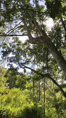 flaming fiascos collection of hot fails 26 gifs 4.html - 1 HD GIF | Premium Gallery 2023