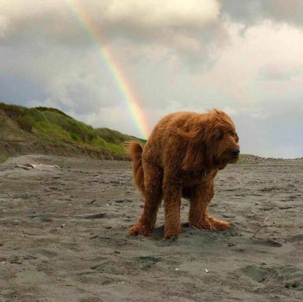 dirty minds only 37 pics 1 gif 2.html - 37 HD GIF | Premium Gallery 2024