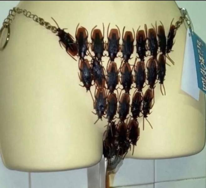 dirty mind come here 48 pics 3.html - 48 HD Photos | Premium Gallery 2024