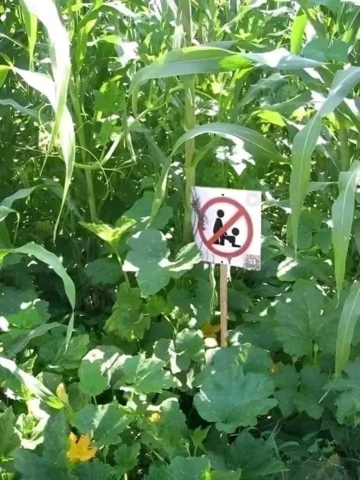 dirty mind come here 48 pics 3.html - 48 HD Photos | Premium Gallery 2024