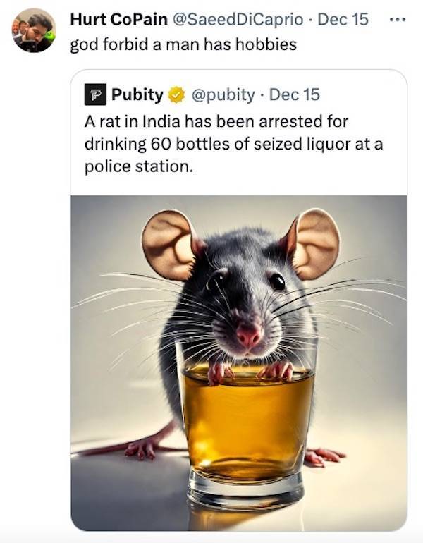 drinking never ends 40 pics 4 gifs 35.html - 40 HD GIF | Premium Gallery 2024