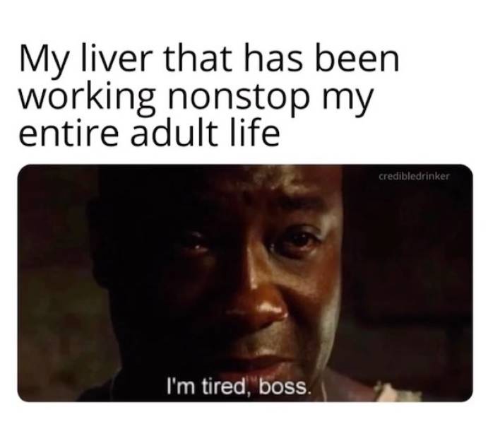 morning after mayhem hilarious hangover memes 33 pics 3.html - 33 HD Photos | Premium Gallery 2024