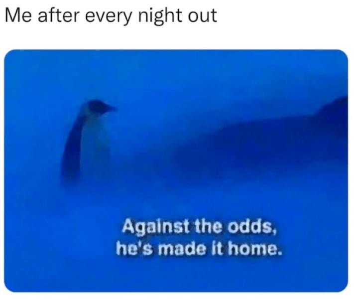 morning after mayhem hilarious hangover memes 33 pics 3.html - 33 HD Photos | Premium Gallery 2024