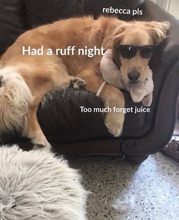 morning after mayhem hilarious hangover memes 33 pics 3.html - 33 HD Photos | Premium Gallery 2024