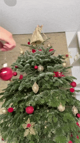 hot girls are here for you 42 gifs 2.html - 1 HD GIF | Premium Gallery 2024