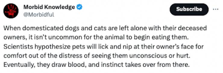 Unsettling Realities: Facts That Leave A Lasting Impression